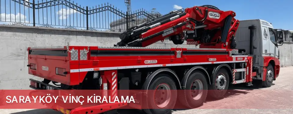 Sarayköy İlçemi Vinç Kiralama